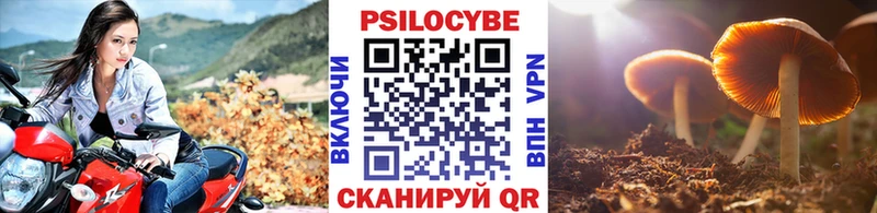 Галлюциногенные грибы GOLDEN TEACHER  купить закладку  Вольск 