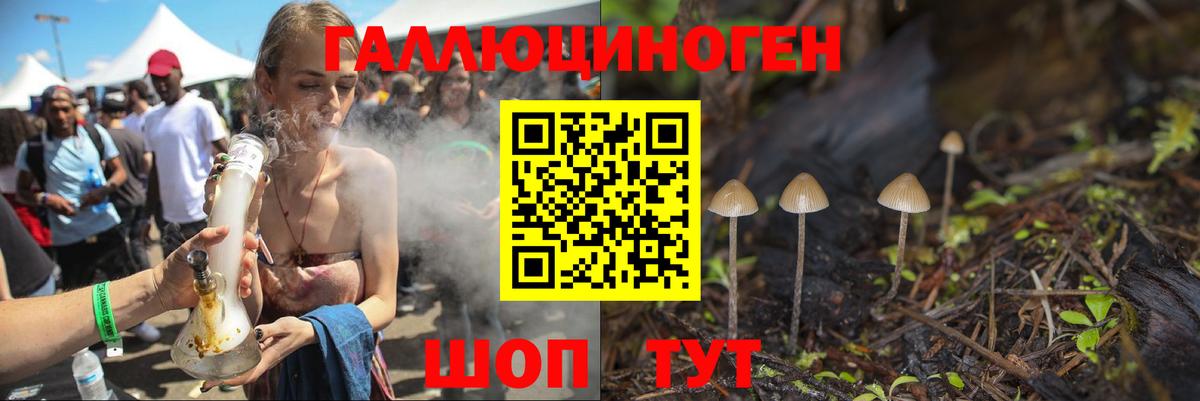 Вольск  Псилоцибиновые грибы MAGIC MUSHROOMS  Вход с VPN  наркошоп  Галлюциногенные грибы прущие грибы 